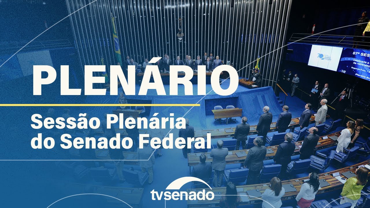 Senadores analisam em Plen&aacute;rio, o 