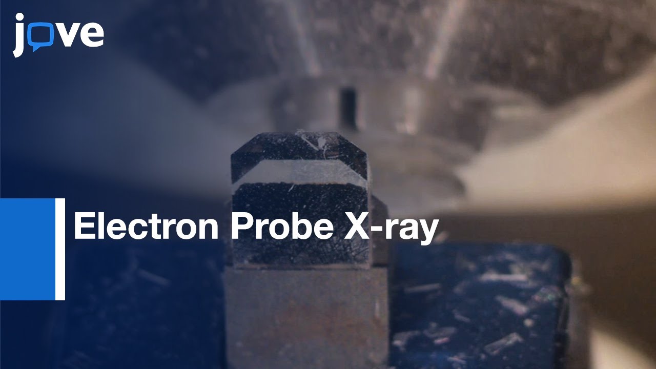 Electron Probe X-ray Microanalysis to measure Total Calcium in Neurons | Protocol Preview