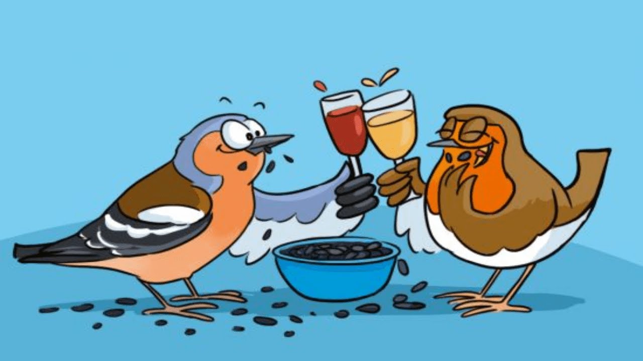 Apéro-Faune #3 : NaturaList, saisir vite et bien