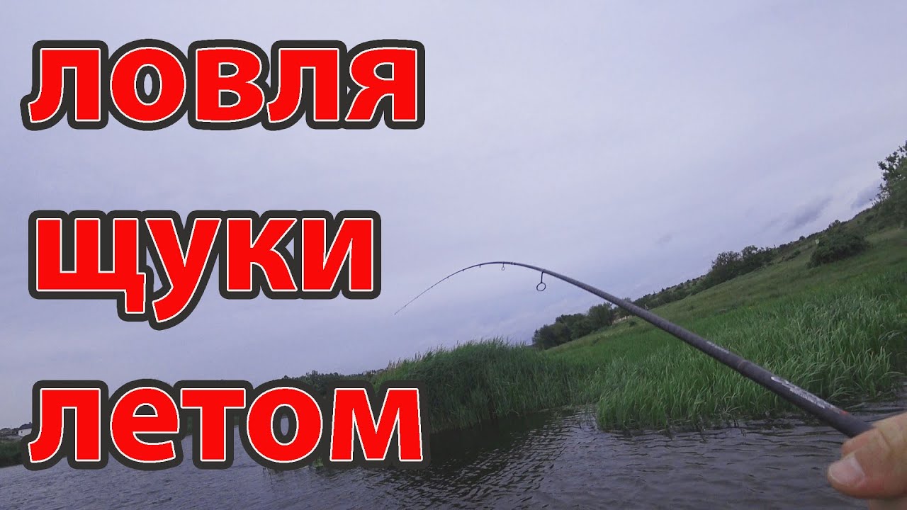 Ловля щуки летом на силиконовые приманки