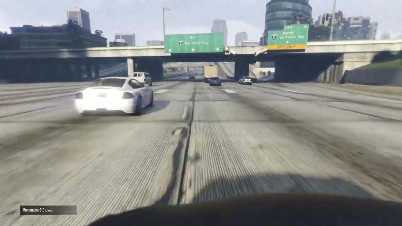 Del perro fwy Run pt2