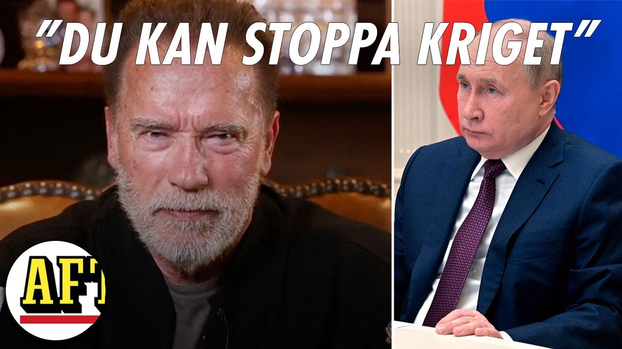 Arnold Schwarzeneggers starka tal: ”Putin – du kan stoppa kriget”