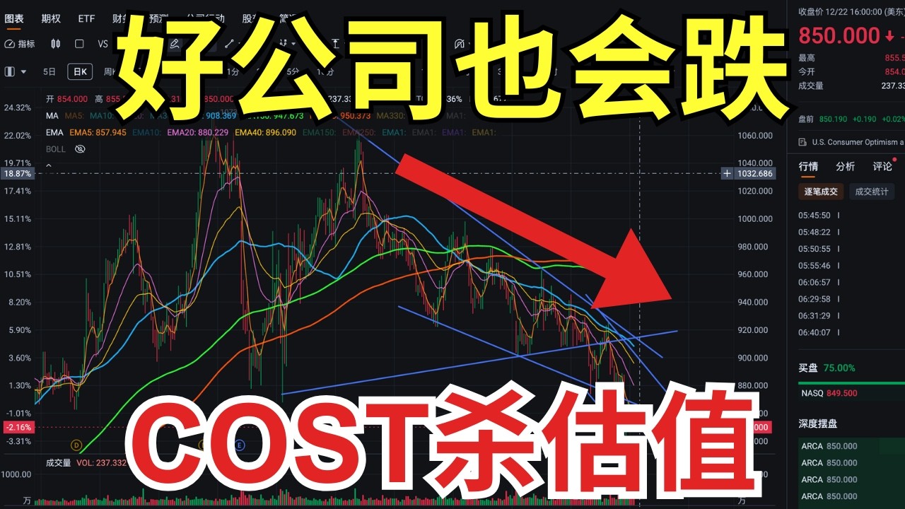 Costco基本面很好，股价却大跌20%，发生了什么？｜两年涨128%，现在回调只是开始吗？深度解析COST｜Zac美股笔记