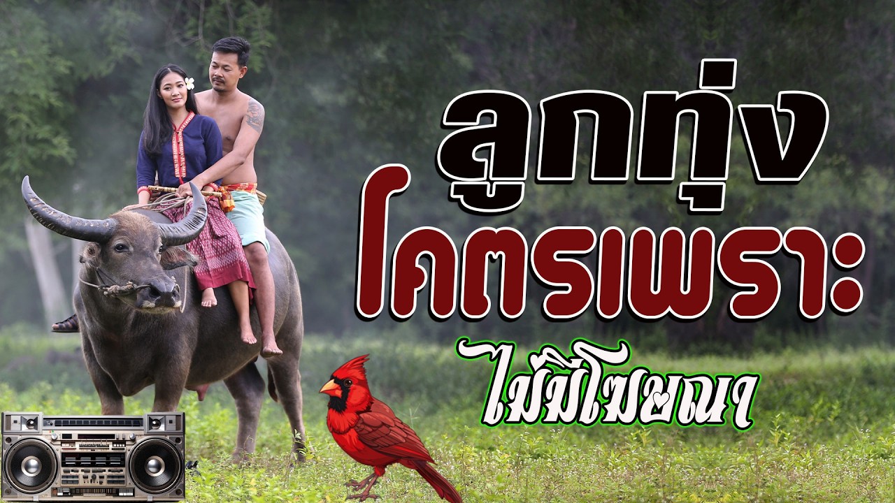 ลูกทุ่ง ฟังสบาย ยามเช้า คุณภาพเสียงเยี่ยม #ฟังแบบต่อเนื่อง #มาแรง