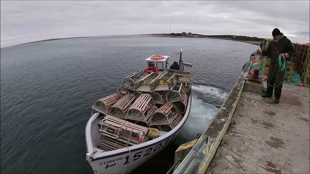 A Beautiful day setting Lobster Gear,,,,,Northern Peninsula,,,,2024