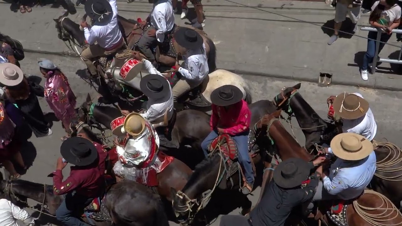 hola 2 y los caballos de Tarija no de Ohio