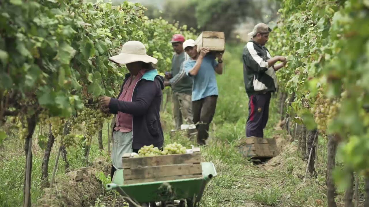 La Agropecuaria una oferta atractiva para estudiar y trabajar