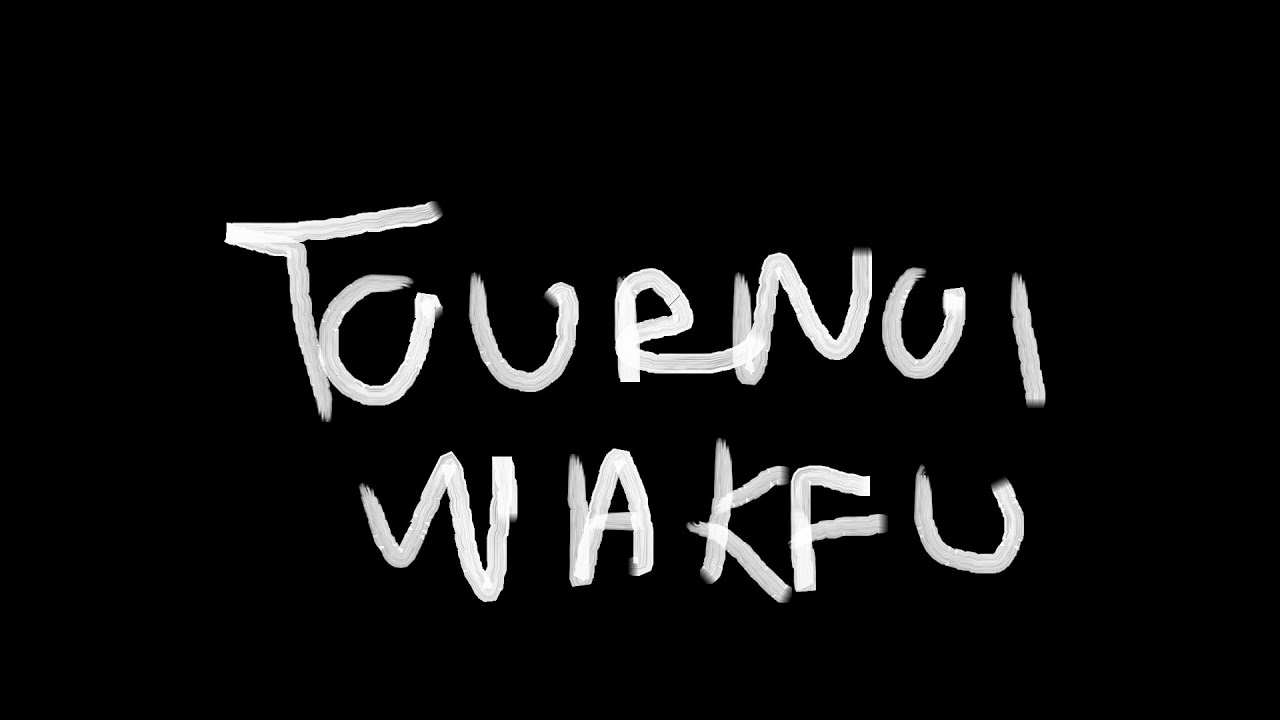 Mon retour, je participe à un tournoi Wakfu