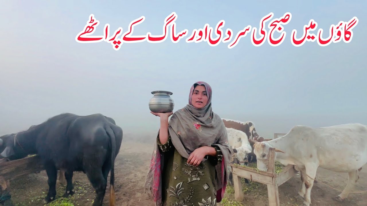 Meray Goan Ki Subah Our Saag Ke Parathay I Mud House Organic Recipe I Happy Joint Family
