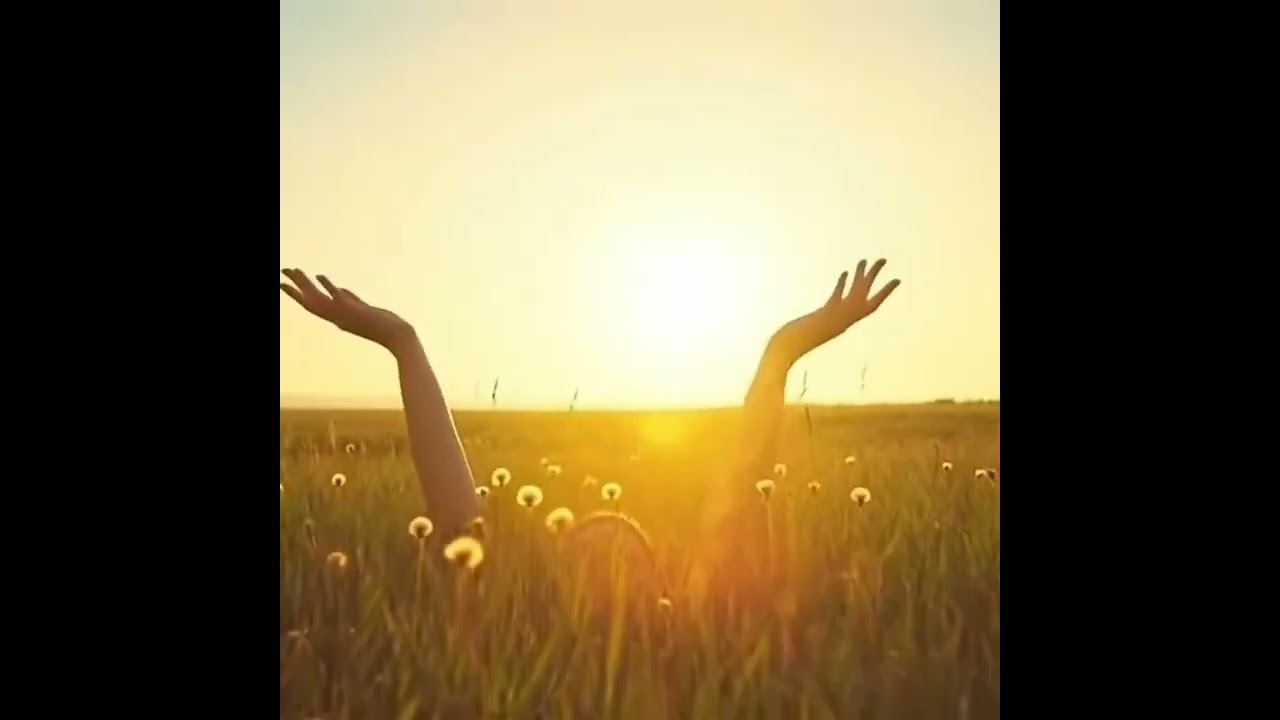 Run Through the Fields