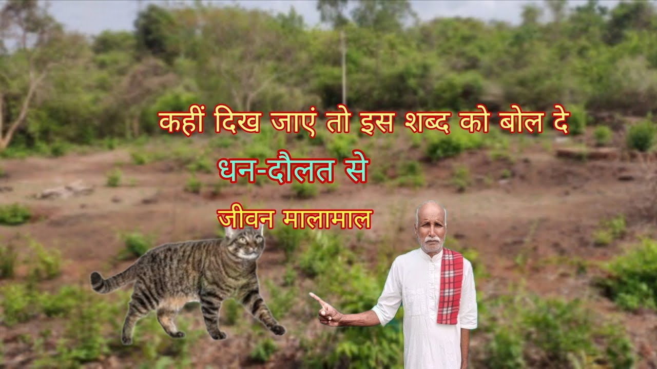  देख कर इस शब्द को बोल दे धन बरसेंगे धनवान बनने से कोई शक्ति रोक नही पाएं 