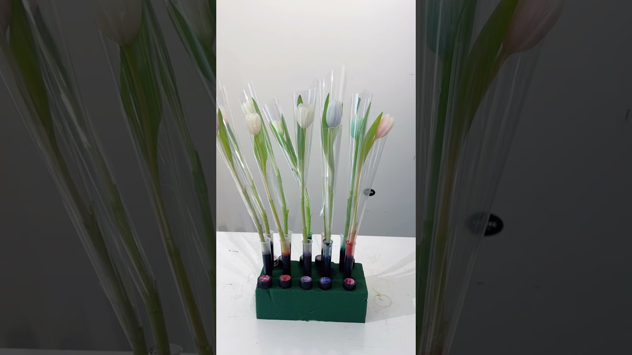 🌷Easy DIY Dyeing Techniques! #diyflowers #florist #floraldesign #diycrafts