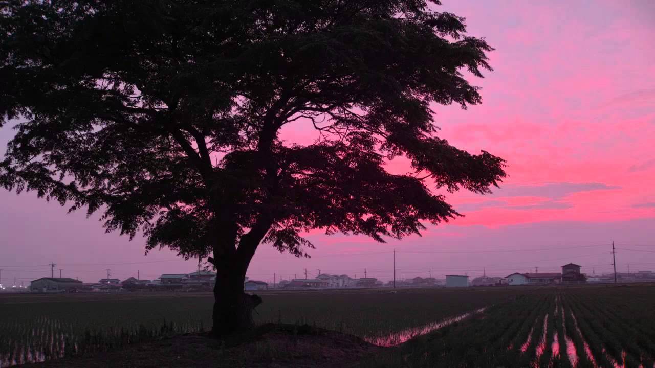 鄉愁的男兒