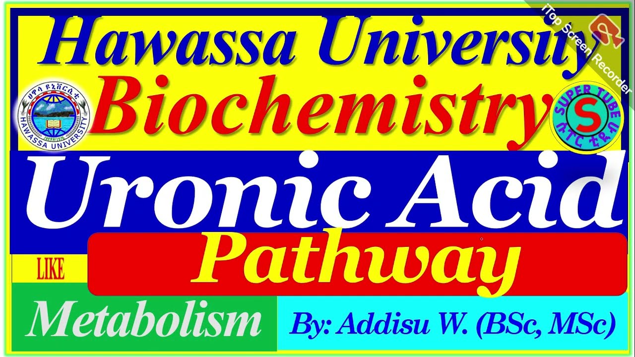Uronic acid Pathway || Significance ||Regulation || Essential pentosuria #metabolism #biochemistry