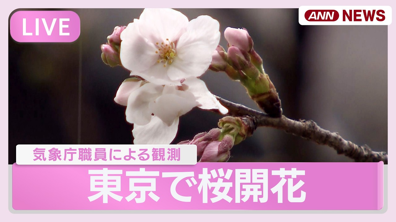 【ライブ】東京のソメイヨシノ開花を発表　平年より５日早く関東では今年初｜靖国神社の桜標本木を気象庁職員が観測【LIVE】(2026年3月19日) ANN/テレ朝