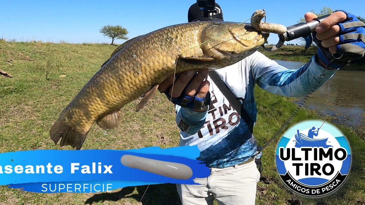 PESCA de TARARIRAS con SEÑUELOS FALIX 2025