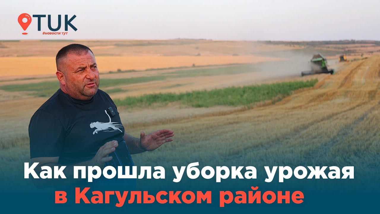 Урожай 2025: предварительные итоги в Кагуле
