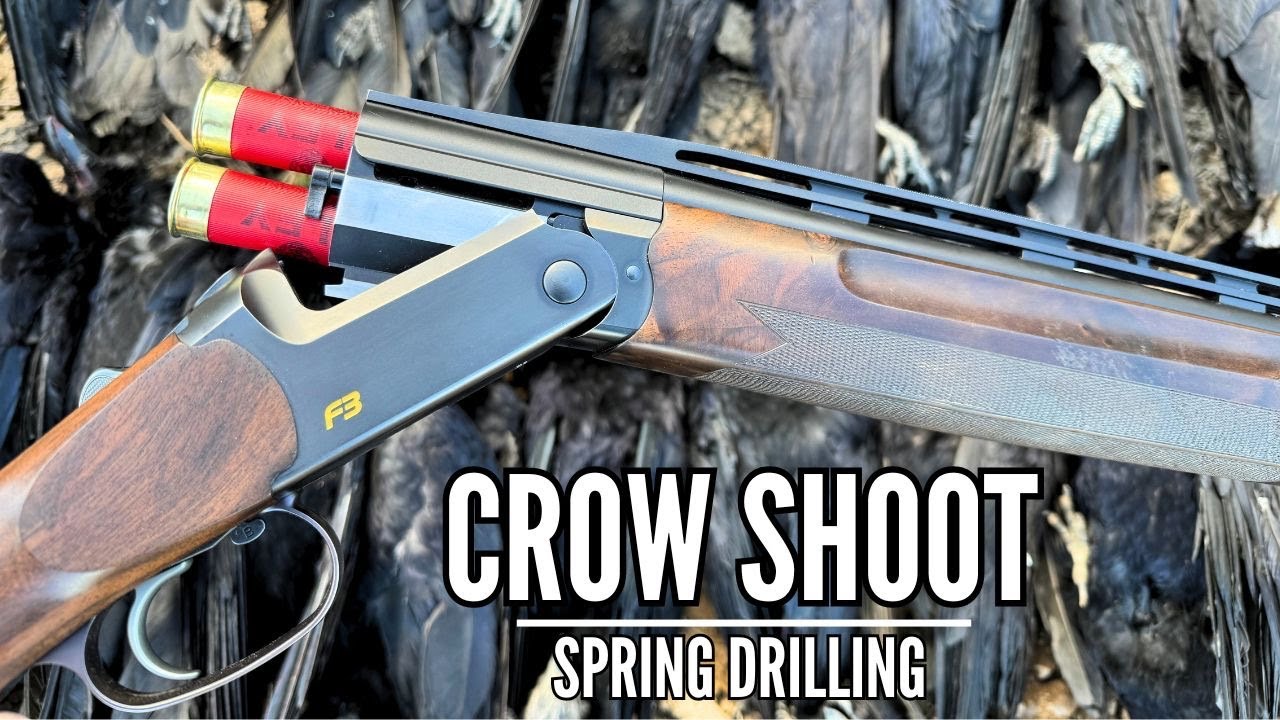 CROW SHOOTING ON SPRING DRILLING | PEST CONTROL | CROP PROTECTION
