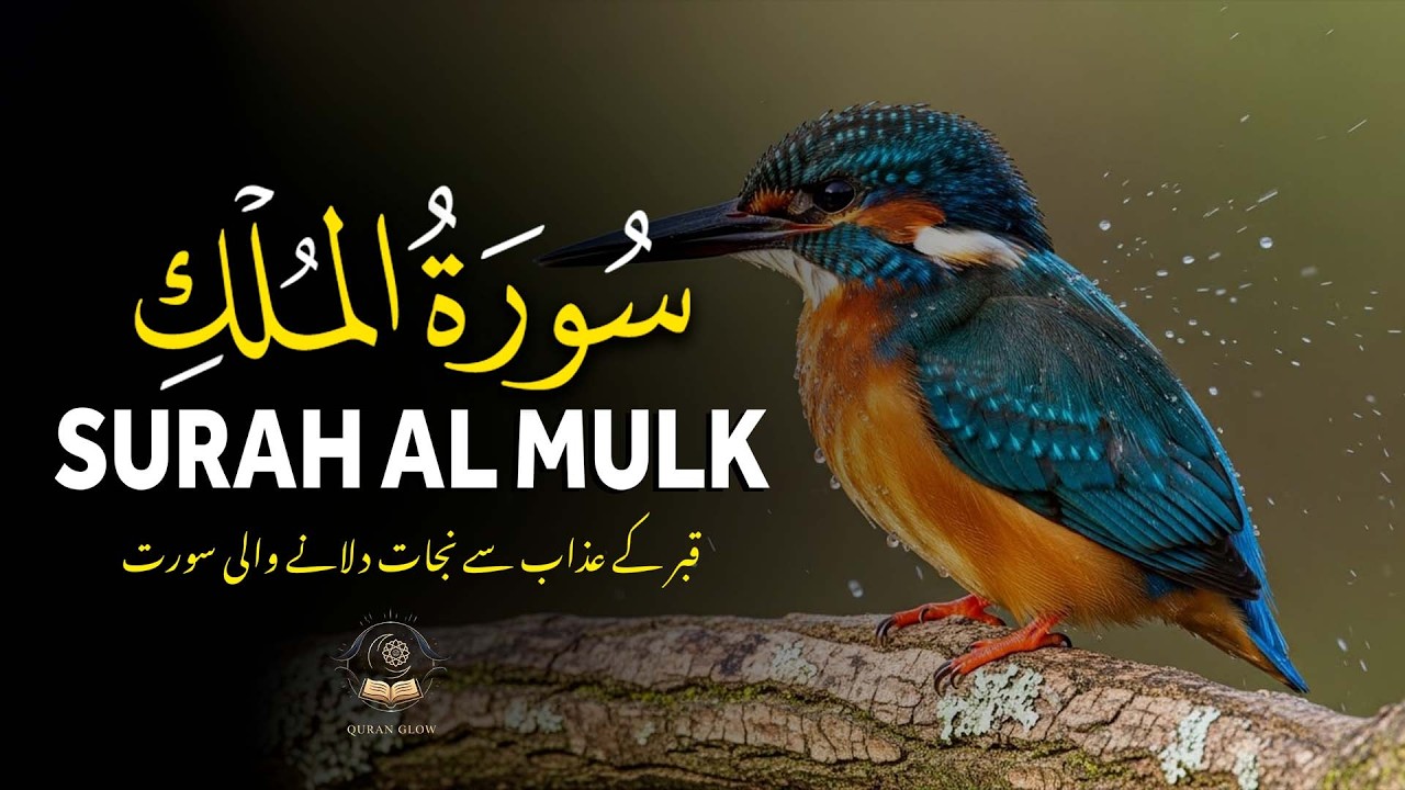 Surah Al-Mulk | Urdu & Hindi Translation | Sheikh Muhammad Ahmad Hassan | Quran Glow