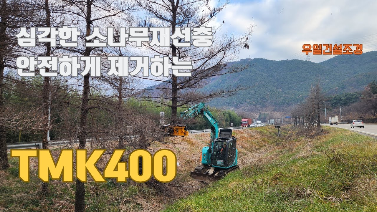재선충으로 인한 고사된 소나무 제거 - TMK400