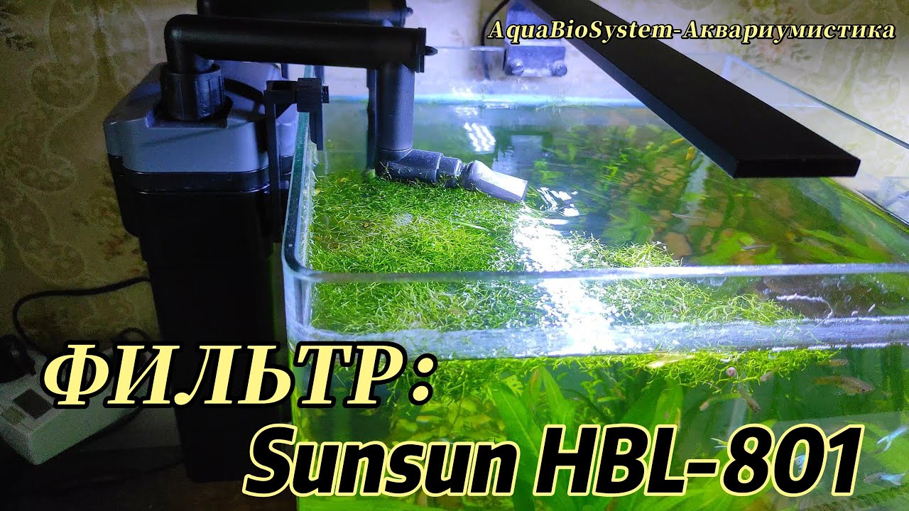 Фильтр Sunsun HBL-801.