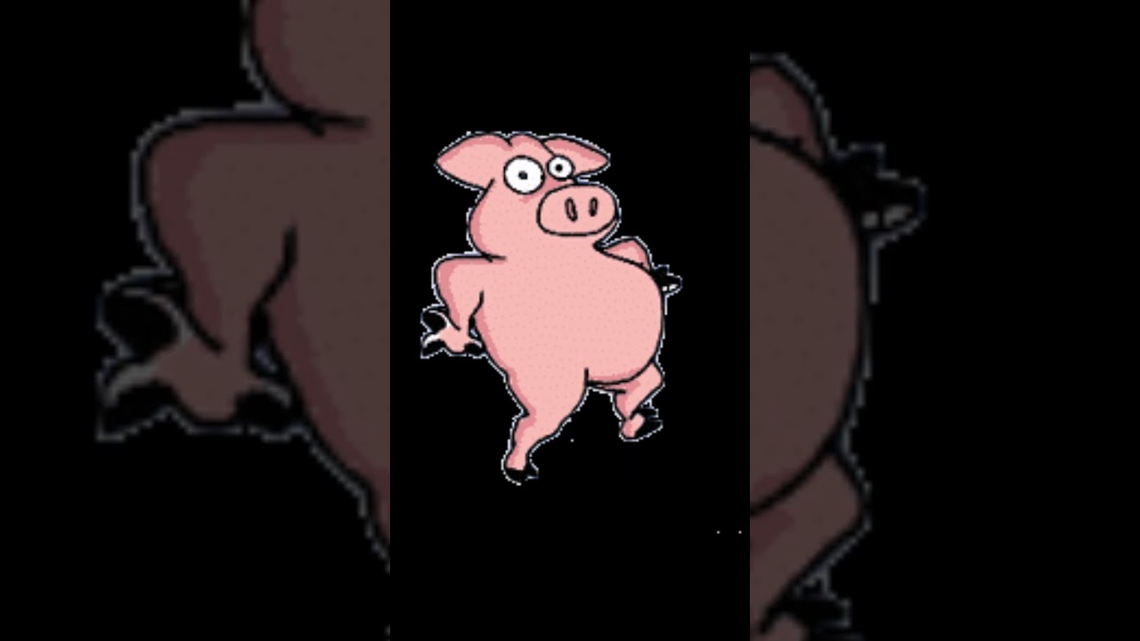 What Is a Pig Trail?