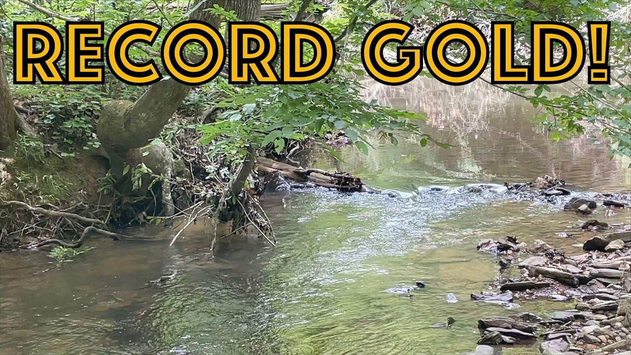 This HOMEMADE classifier got me a new GOLD record!!!