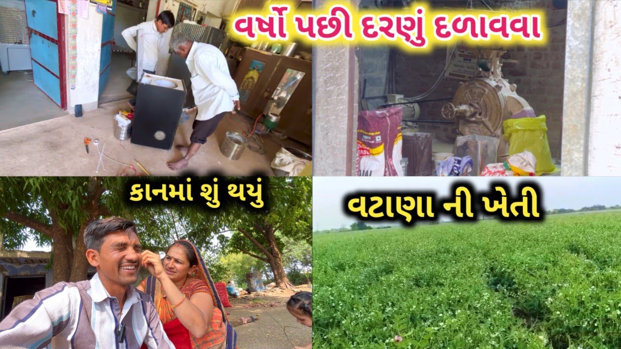 વર્ષો પશી દરણુ દળાવવા ગયો || જોરદાર વટાણા 😍 || Life at Botad Village Vlogs 