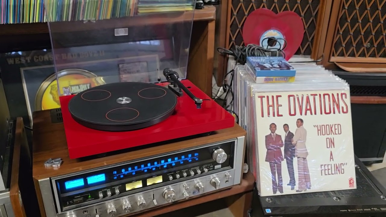 Mike and the Censations-You're Living A Lie