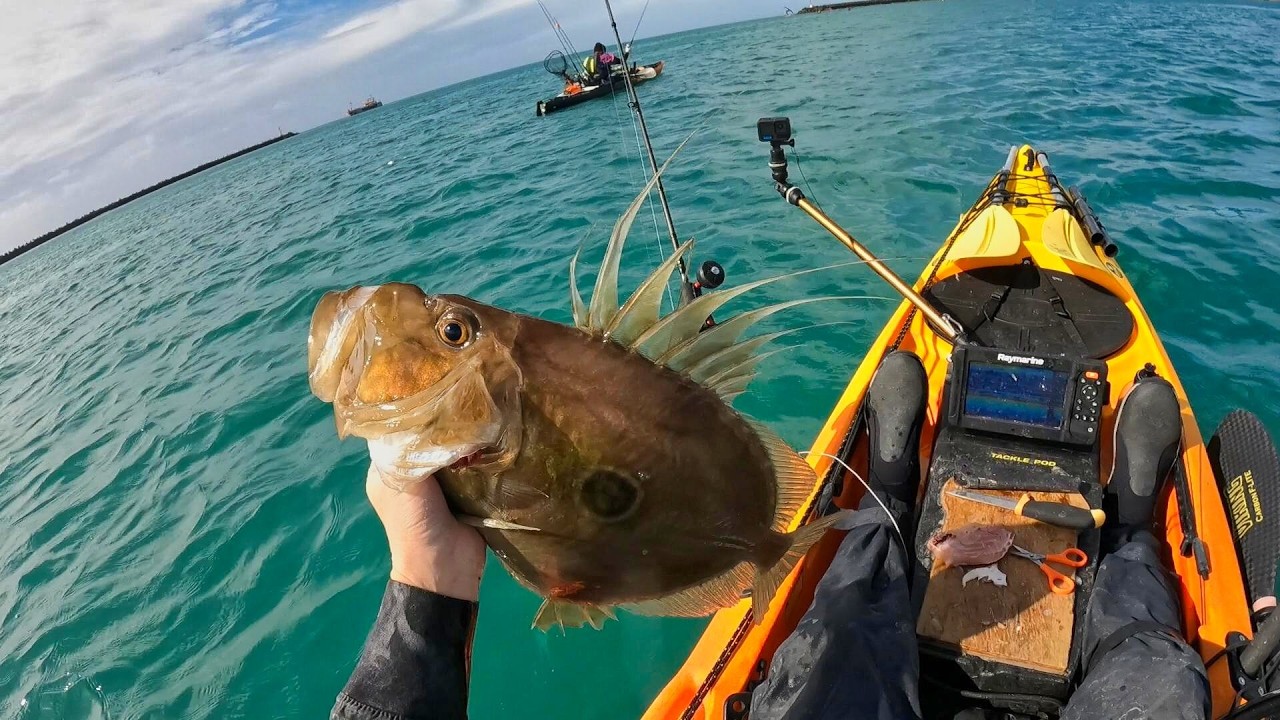 Подводный Джон Дори на гонке Taranaki Kayak Classic 2025