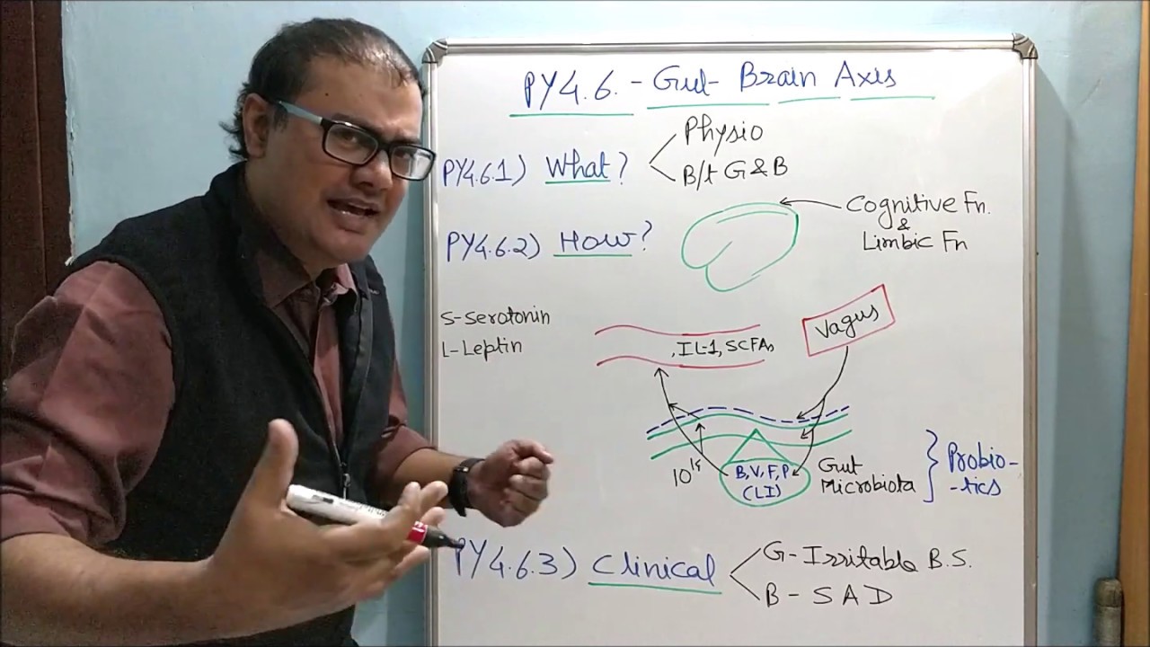 Gut-Brain Axis
