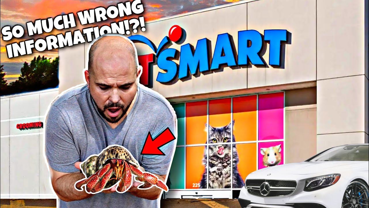 В сети магазинов Petsmart запрещено продавать раков-отшельников!?!