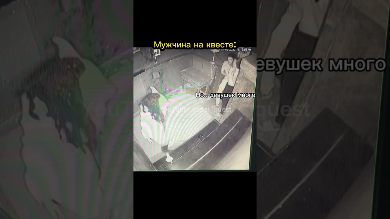 Sigma? 🤔 #portal #tiktok #давайвквест