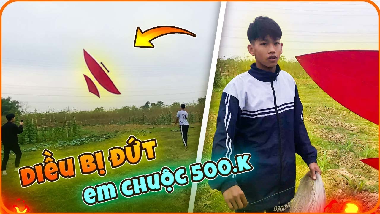 Bất ngờ nhặt được combo diều sáo 3 mét bị đứt dây và cái kết | Trò Mèo TV