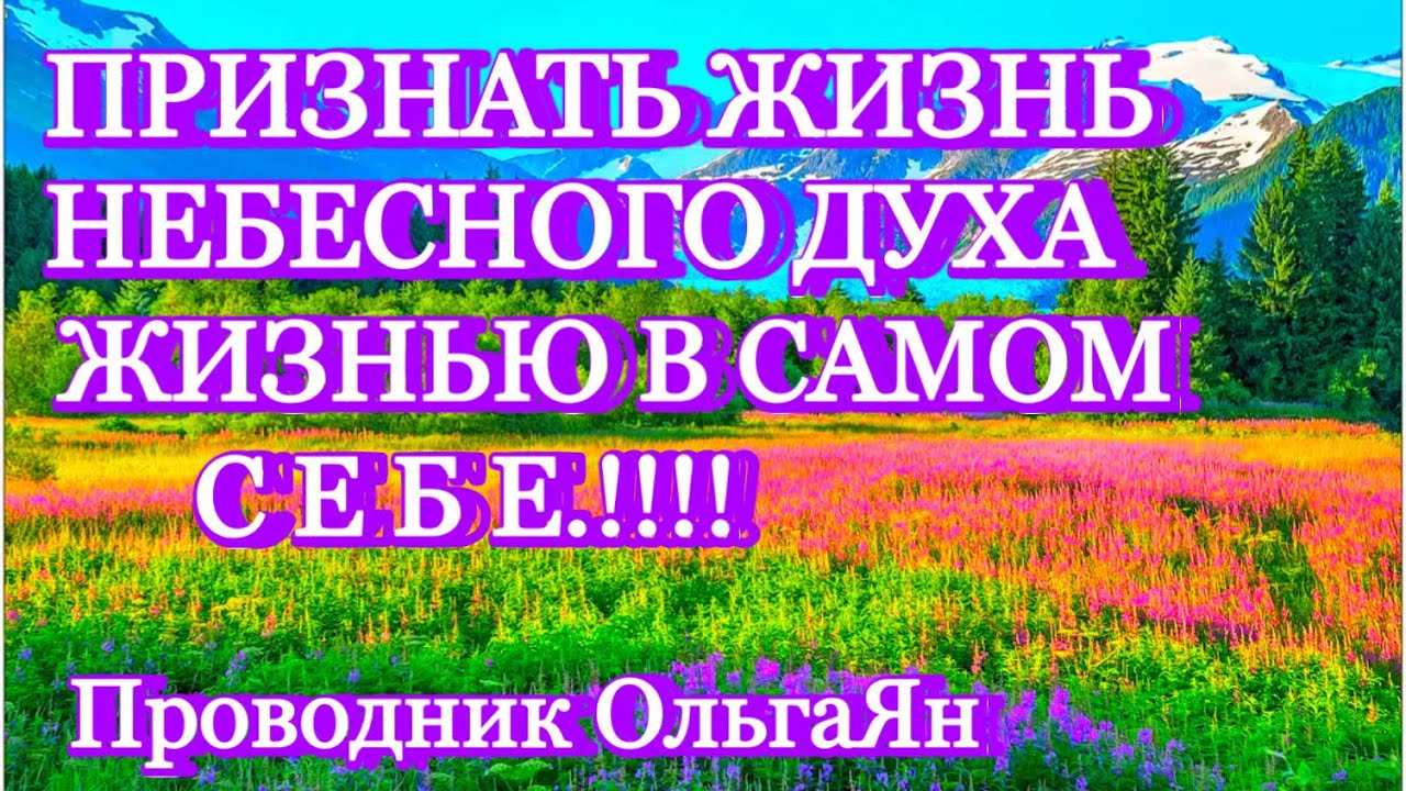 ПРИЗНАТЬ ЖИЗНЬ НЕБЕСНОГО ДУХА ЖИЗНЬЮ В САМОМ СЕБЕ.!!!! ⚡️@novoe_probujdene_chelovchestva 