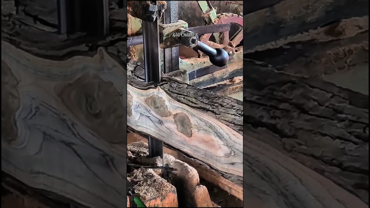 teak wood for hospital buildings part 10 #fypyoutube #sawmill #teakwood