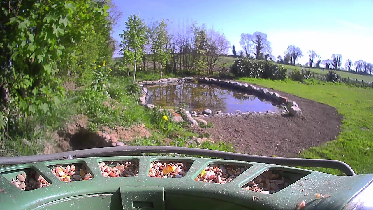 Carlow Weather Live Stream #BirdfyLive