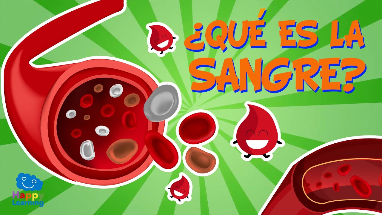 &iquest;QU&Eacute; ES LA SANGRE? &iquest;PARA QU&Eacute; SIRVE? 🩸❔ | V&iacute;deos Educativos para Ni&ntilde;os