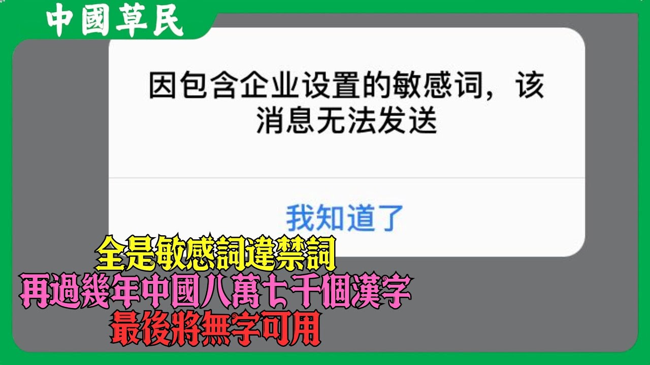 全是敏感詞違禁詞.再過幾年中國八萬七千個漢字最後將無字可用#reaction