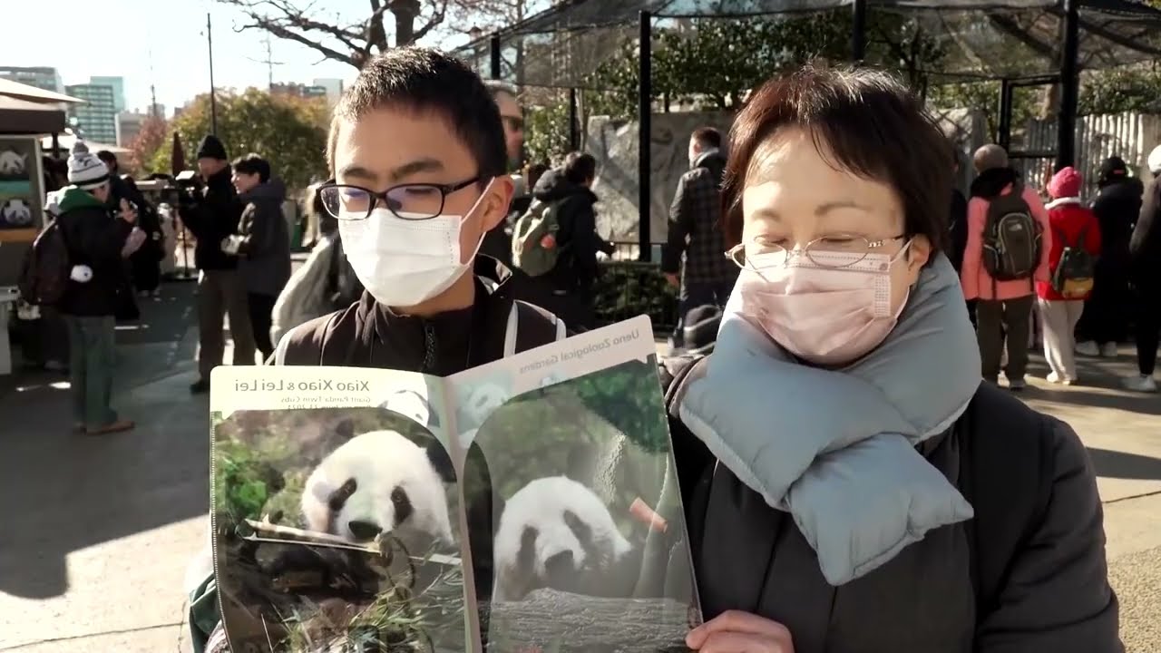 Fans say goodbye to Japan's last pandas before return to China | REUTERS