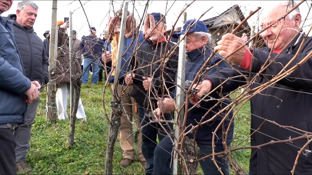 Vincencijevo 2025 v Pi&scaron;ecah