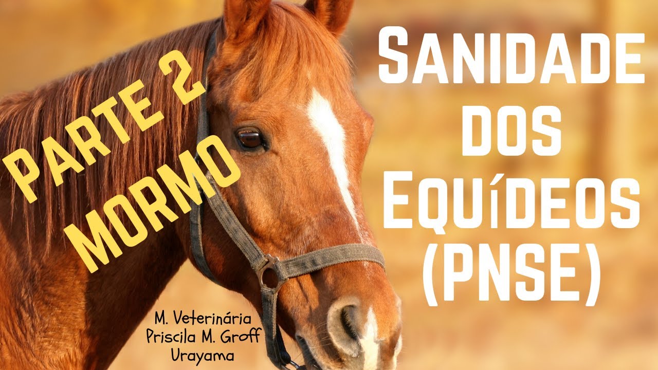 Programa Nacional de Sanidade dos Equídeos (PNSE) - MORMO: IN 06/2018 MAPA. PARTE 2