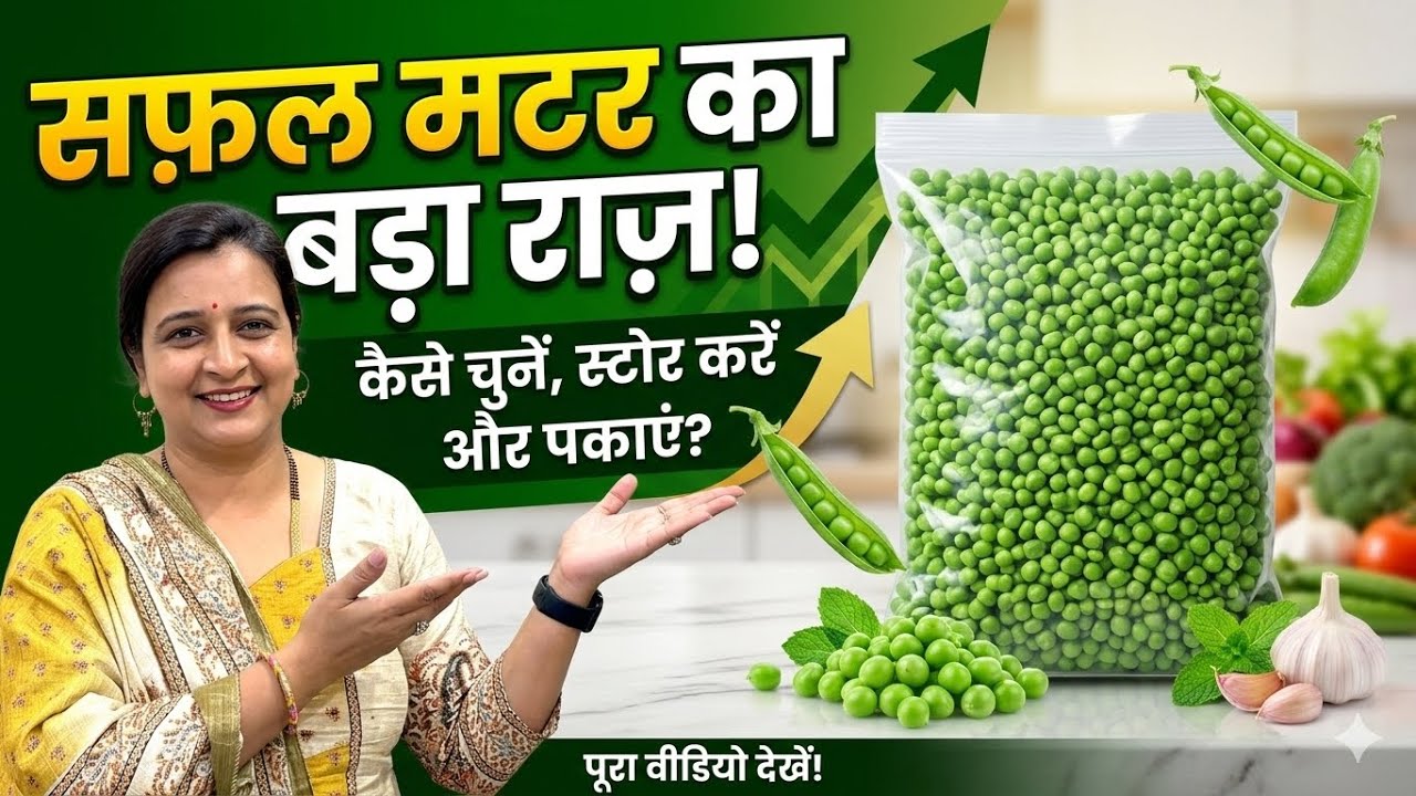 बाज़ार जैसे सफ़ल मटर अब घर पर बनाएँ | How to Store Green Peas for 1 Year