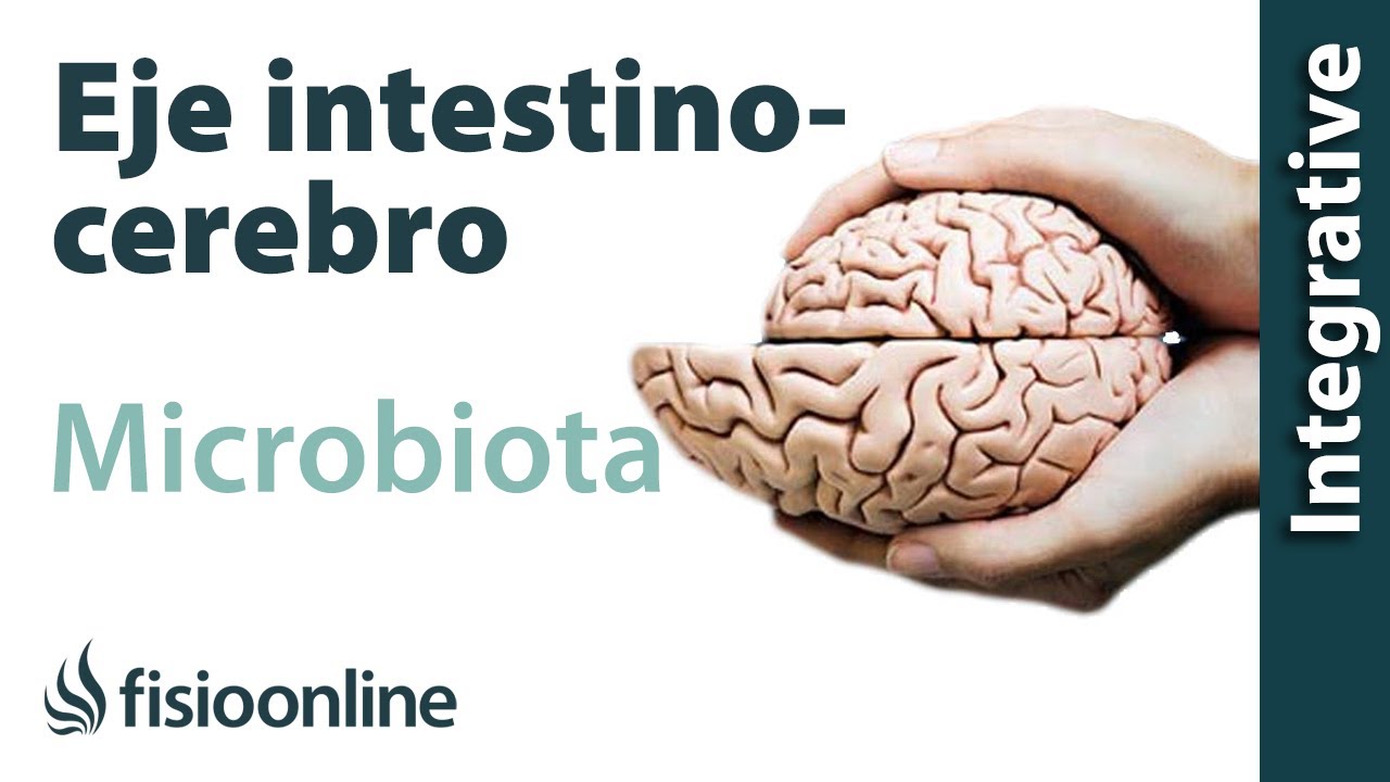 Microbiota - Eje intestino-cerebro