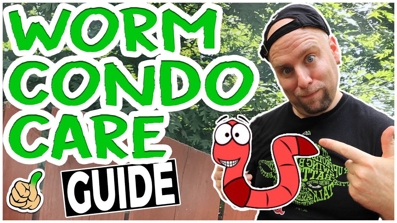 Worm Composting How to Care for your Worm Farm