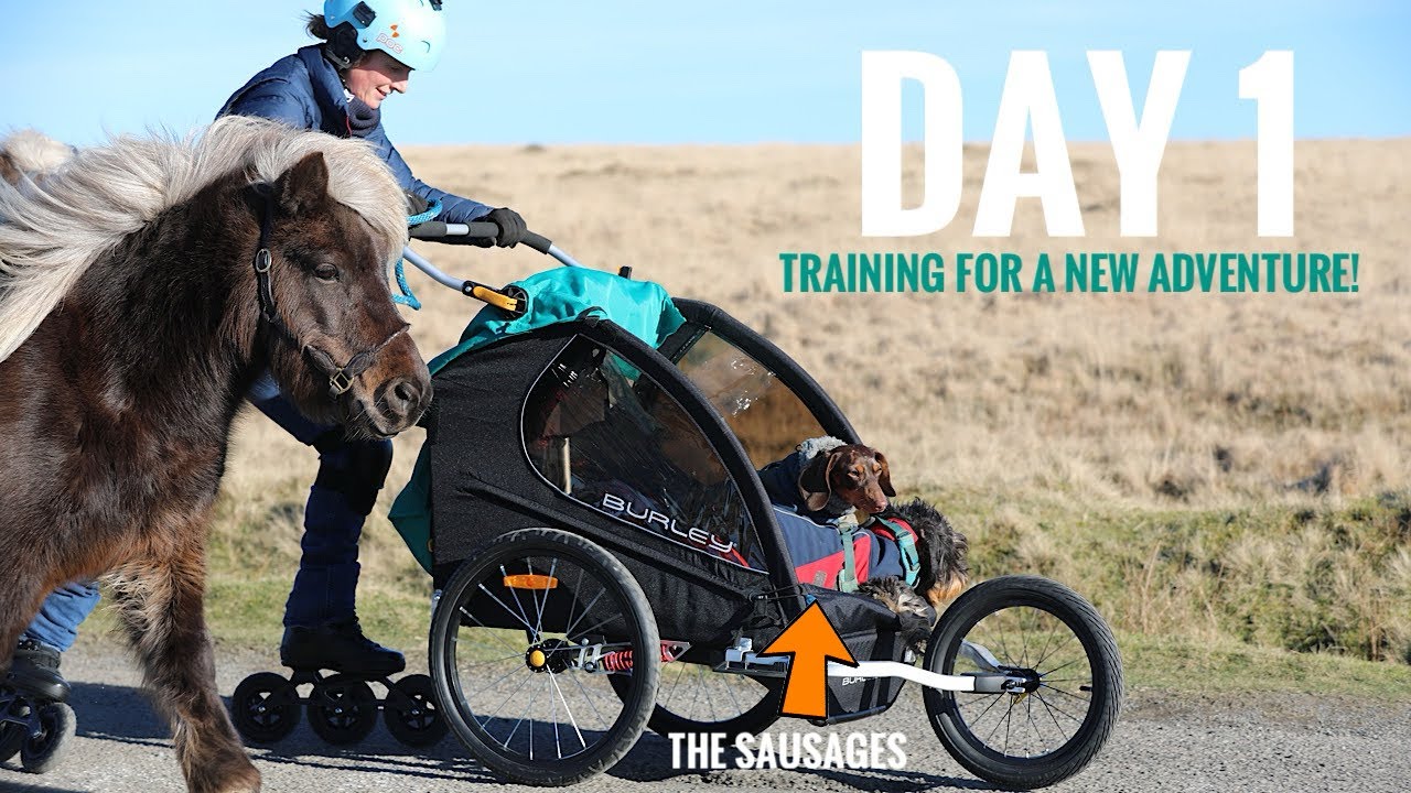I’ve got my hands full with this lot on wheels!
