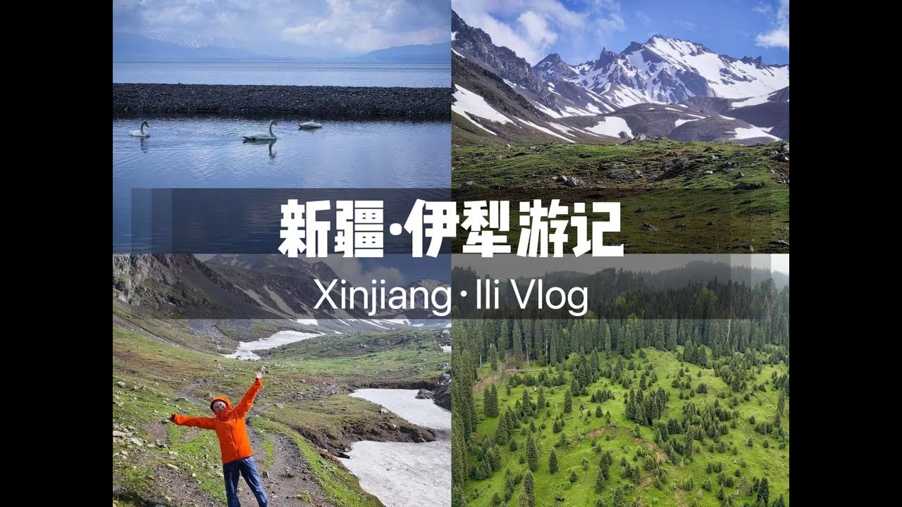跟我们一起来夏日的新疆旅行吧～赛里木湖｜库尔德宁｜那拉提  A summer trip to Xinjiang~Sayram Lake | Nalati Scenic Spot