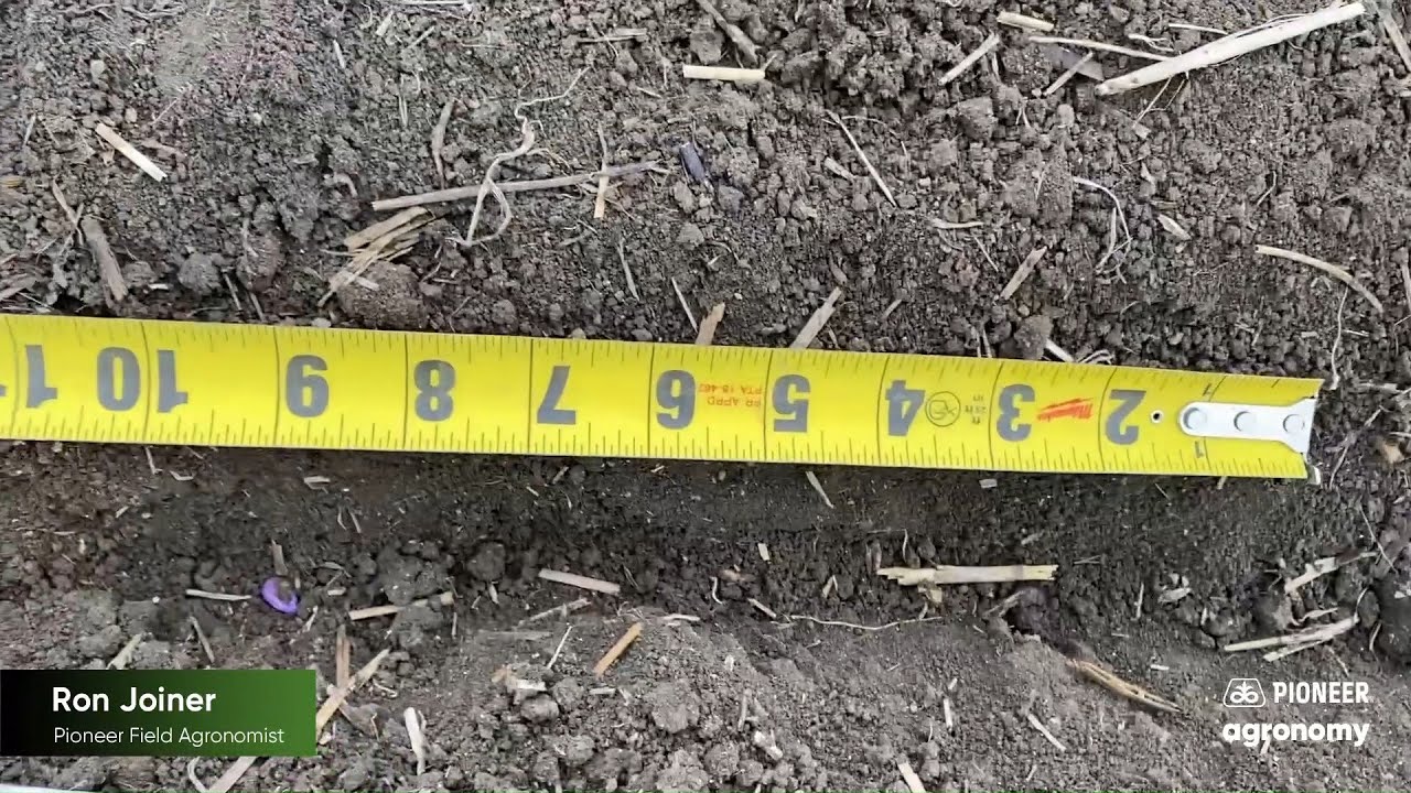 Spring Planter Tips and Planting Considerations