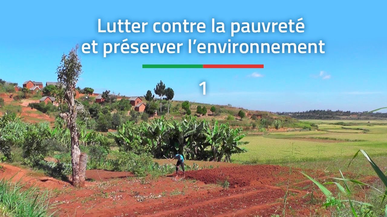 Professionnalisation des fili&egrave;res agricoles p&eacute;riurbaines, &agrave; Madagascar (2018) &ndash; &eacute;pisode 1