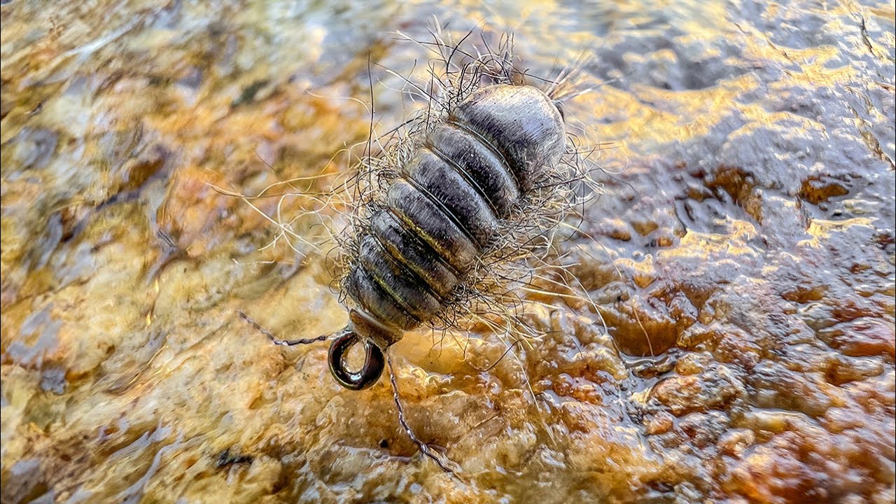 Tying Tradd's Sowbug